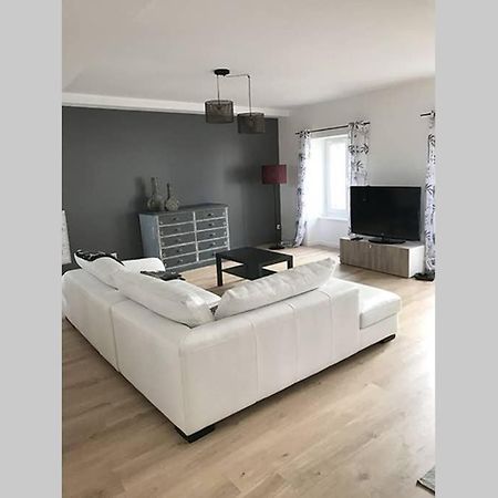 Annonay Centre, Grand Appartement Cosy, 3 Chambres Ngoại thất bức ảnh