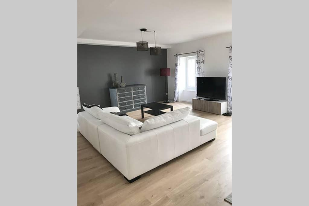 Annonay Centre, Grand Appartement Cosy, 3 Chambres Ngoại thất bức ảnh