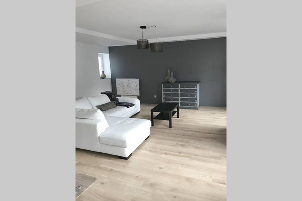 Annonay Centre, Grand Appartement Cosy, 3 Chambres Ngoại thất bức ảnh